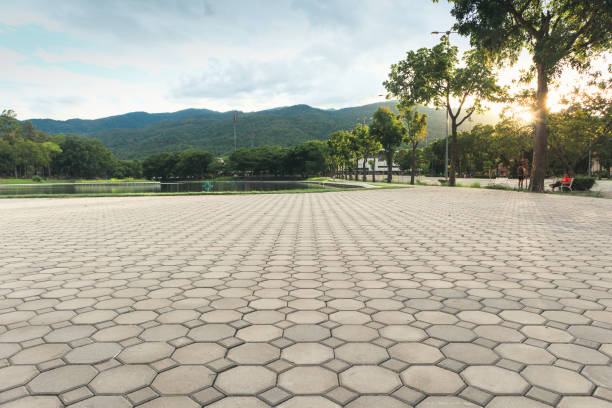 Best Driveway Pavers Near Me  in Grayson, GA